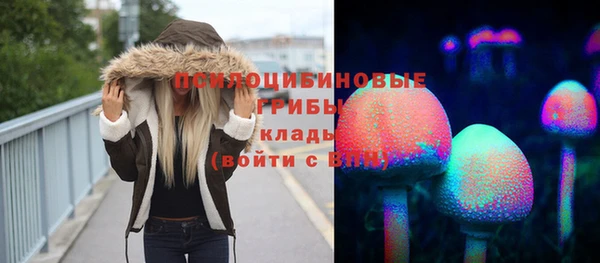 mdpv Гусь-Хрустальный