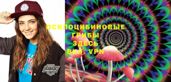 экстази Гусев