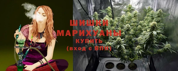 гидра Дмитров
