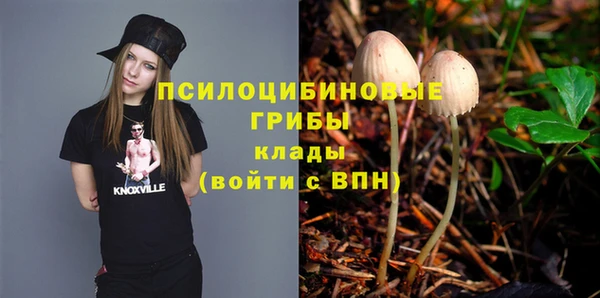 экстази Гусев