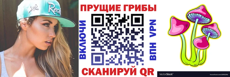 Купить закладки  Пионерский  Псилоцибиновые грибы GOLDEN TEACHER 