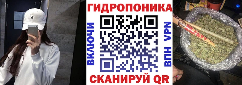 Марихуана OG Kush  Купить где  Пионерский 